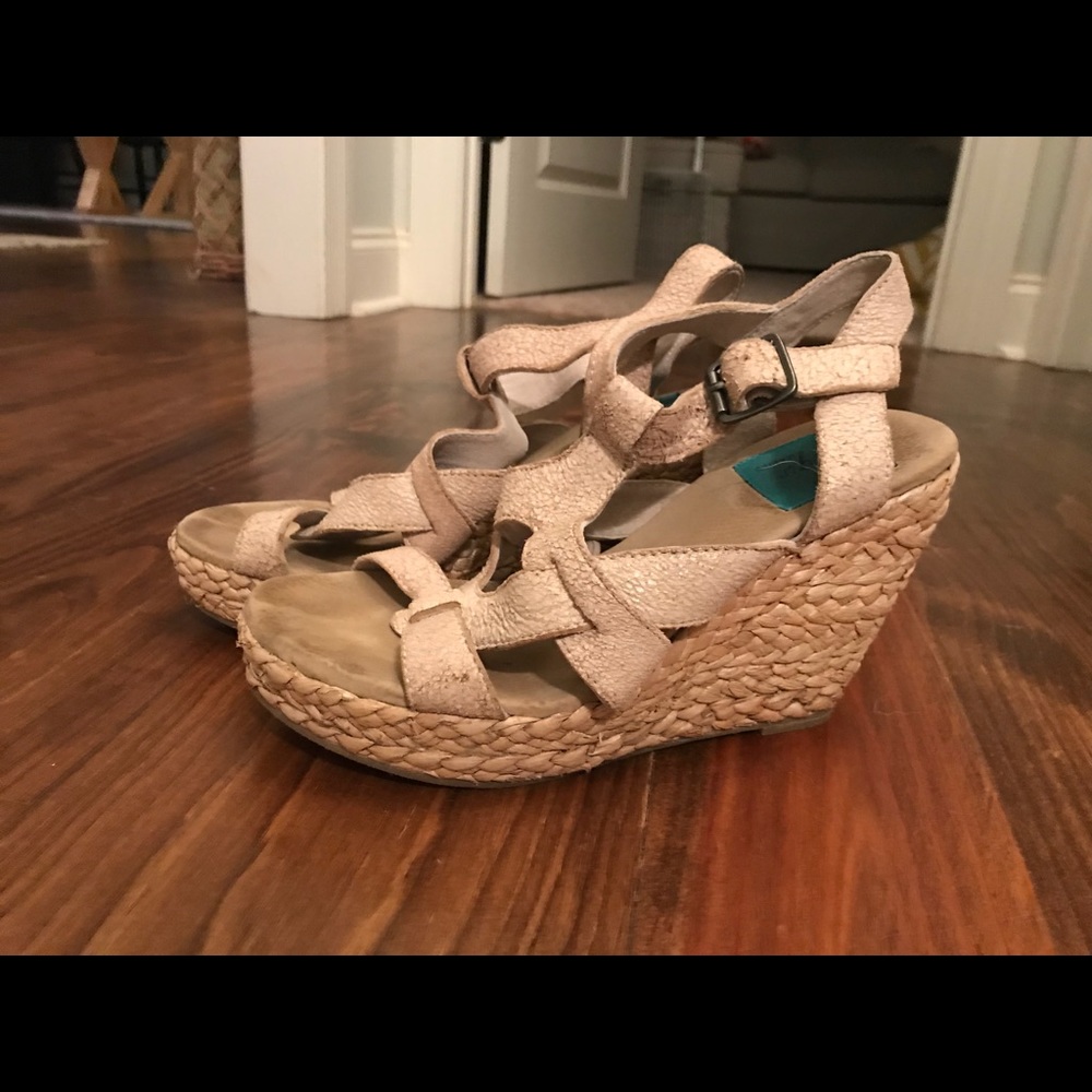 Blowfish wedges